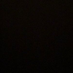 Meet your Posher, Cesar